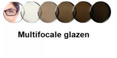 Bruin verkleurende glazen Verres photochromiques brun