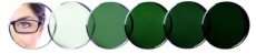 Groene verkleurende glazen (G15) Verres photochromiques Vert